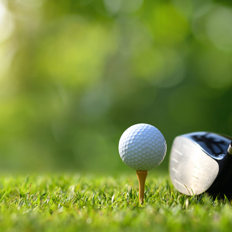 Golf club and ball on grass