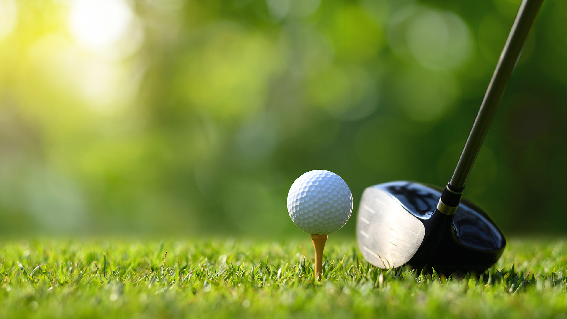 Annual Golf Tournament Fundraiser